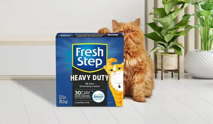 Fresh Step Cat Litter Review And Best Benefits (2025) 1 Fresh Step Cat Litter Review