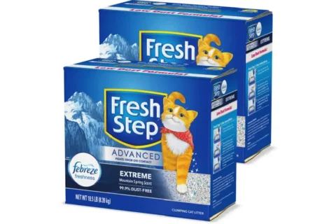 Fresh Step Cat Litter Review